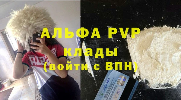 прущие грибы Белокуриха